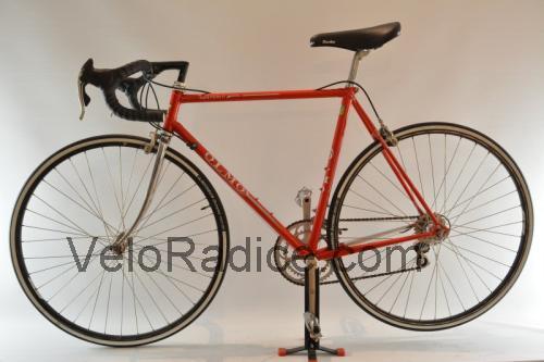 Olmo San Remo scheda tecnica e recensioni